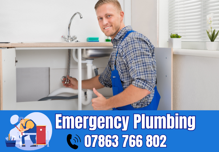  plumber Cobbs