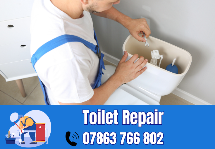toilet repair Stockton Heath